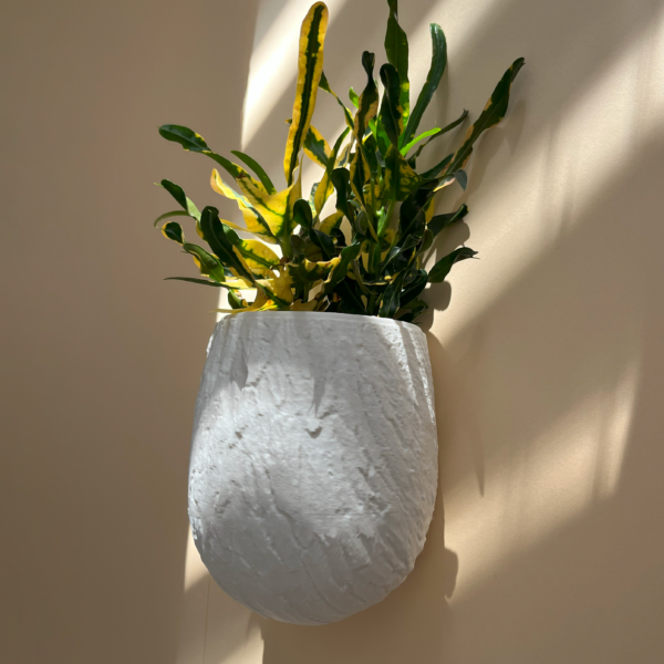 Green leafy plant in a white 3D printed textured wall planter, illuminated by soft natural sunlight