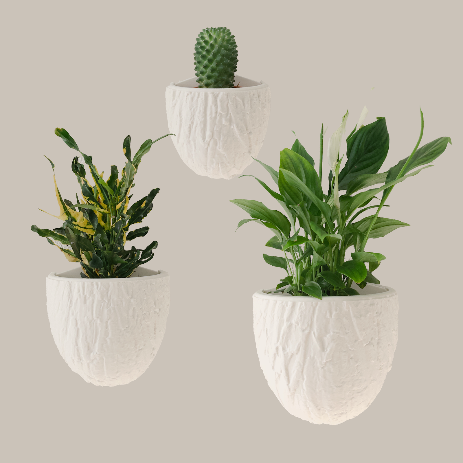 Wall Planter Sets