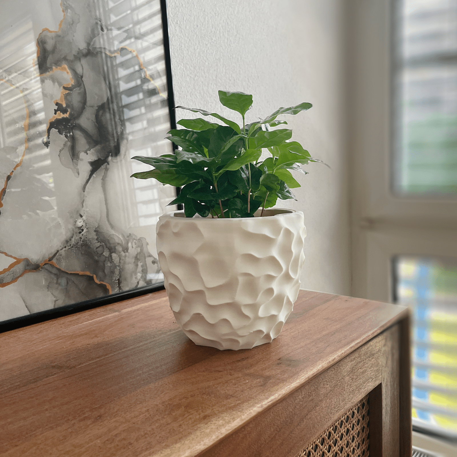 Prometheus white planter styled in a neutral-toned modern interior holding a coffee plant