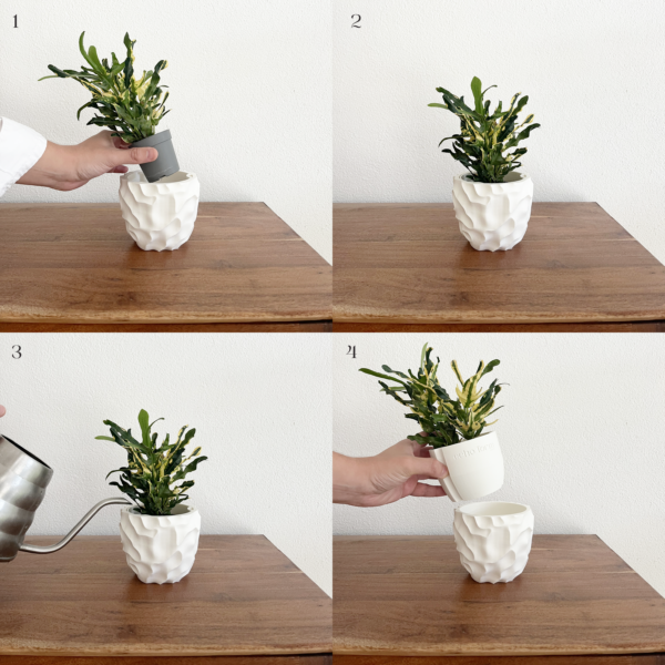 Step-by-step visual guide showing how to use 3D-printed white planter