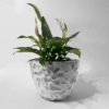 White 3D-printed sculptural planter with texture surface