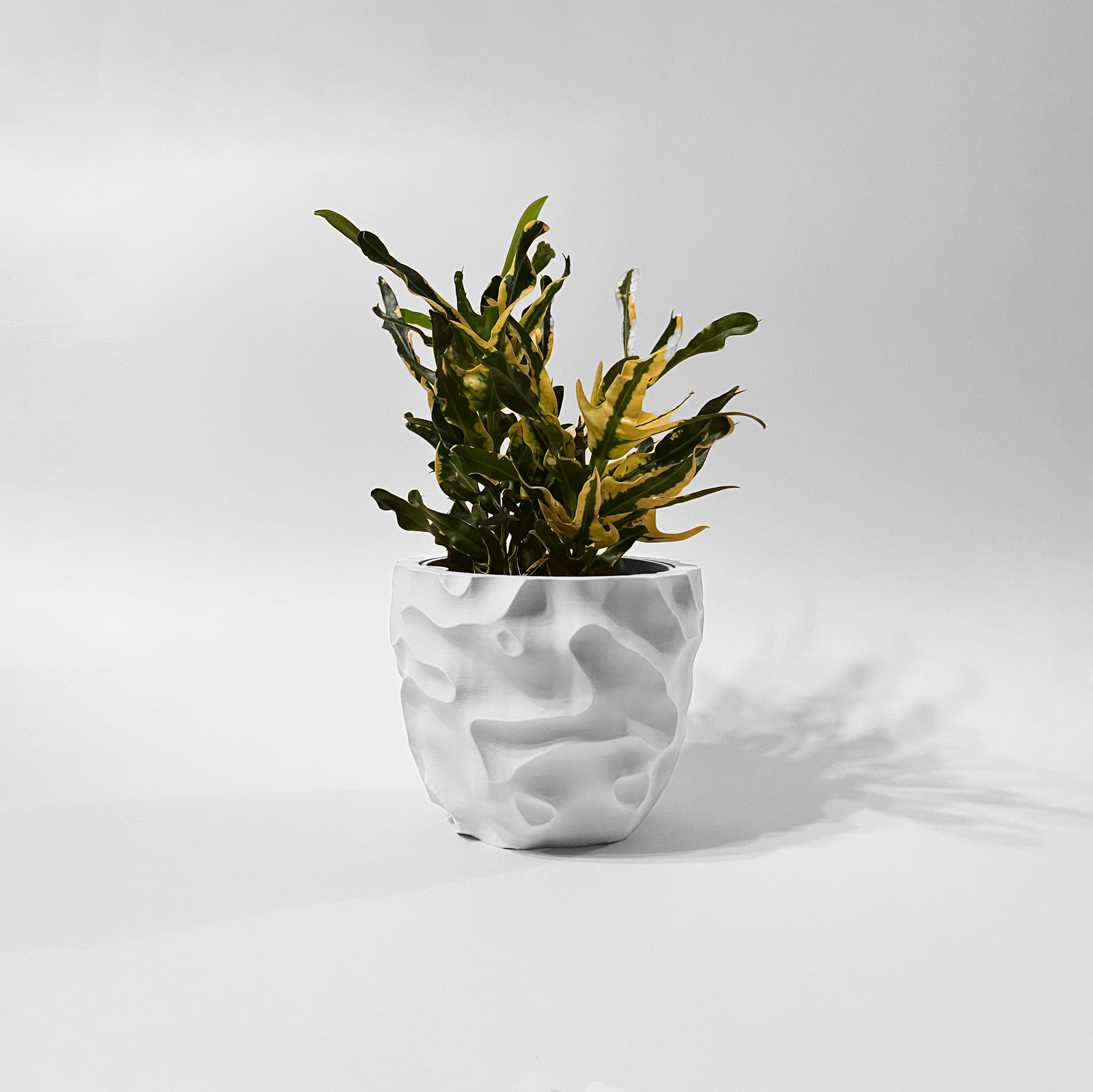 Planters