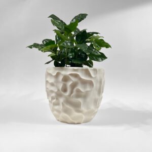 White 3D-printed sculptural planter with a wave-like surface, holding a plant of coffee