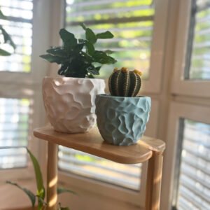 White and pastel blue 3D-printed sculptural planters holding a leafy plant and a cactus