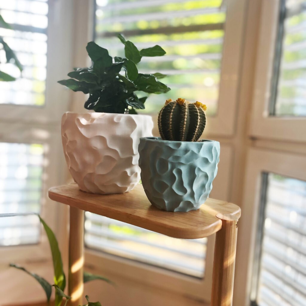 White and pastel blue 3D-printed sculptural planters holding a leafy plant and a cactus