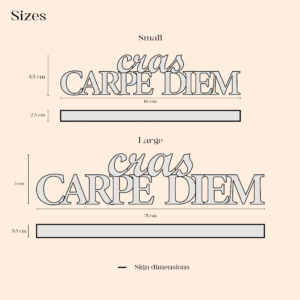 Carpe Diem Cras Sign product dimensions